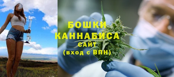 apvp Вязьма