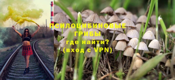 винт Арсеньев
