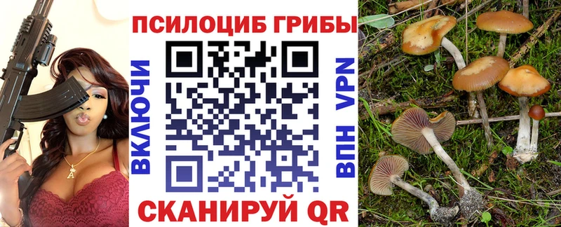 гидра   Пустошка  Псилоцибиновые грибы мухоморы  наркота 
